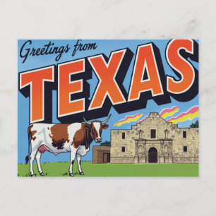 Texas Alamo Longhorn Cow Greetings Postcard