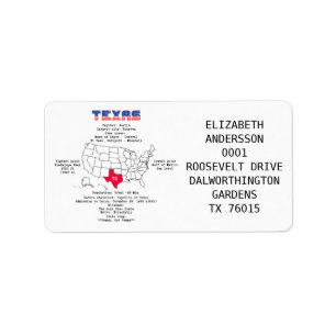 Texas American state on a map and useful info Label