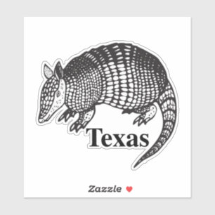 Texas Armadillo