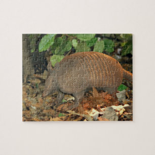 Texas Armadillo Jigsaw Puzzle