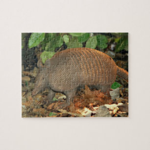 Texas Armadillo Jigsaw Puzzle