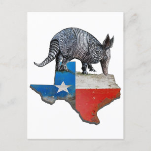 Texas Armadillo Postcard
