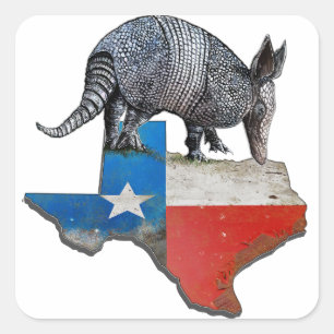 Texas Armadillo Square Sticker