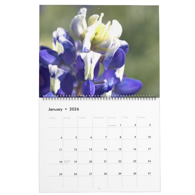 Texas Beauties: Create Your Own Bluebonnet Calendar (Jan 2026)