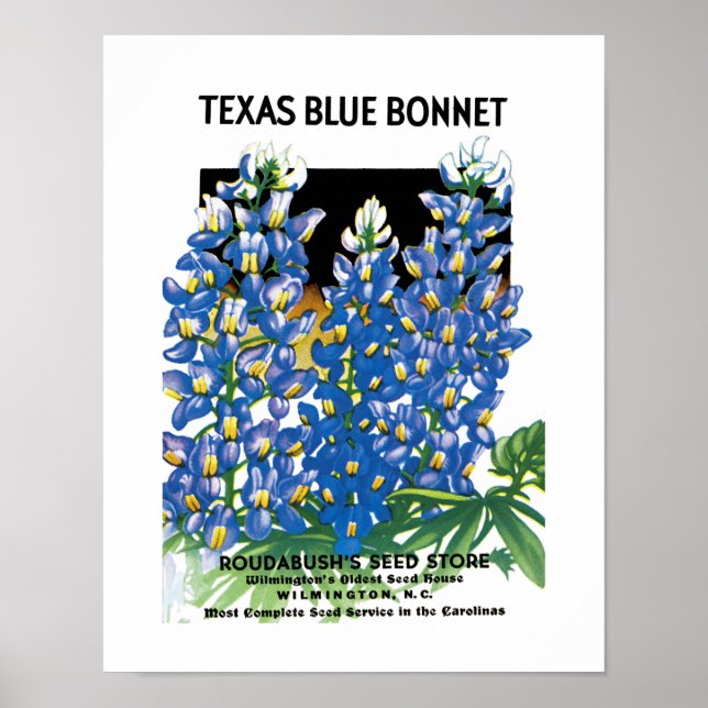 Texas Blue Bonnet Seed Packet Label Poster (Front)