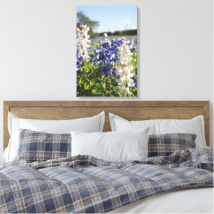 Texas Blue & White Bluebonnets Canvas Wall Art 