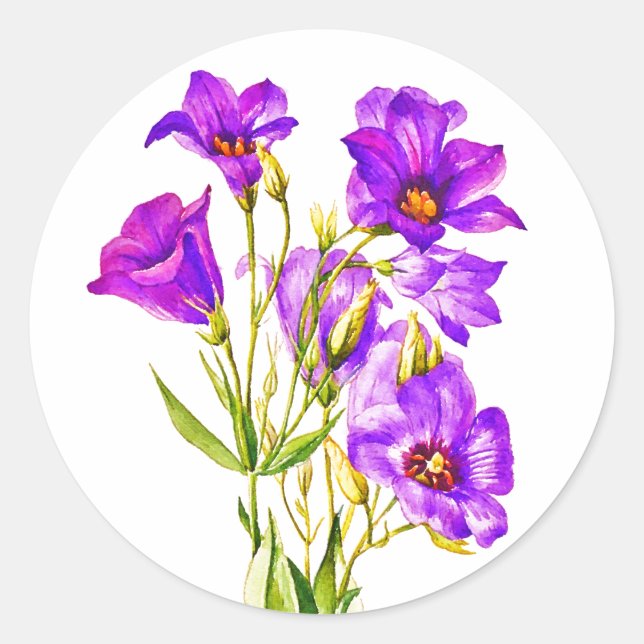 Texas Bluebells Eustoma Russellianum Watercolor Classic Round Sticker (Front)