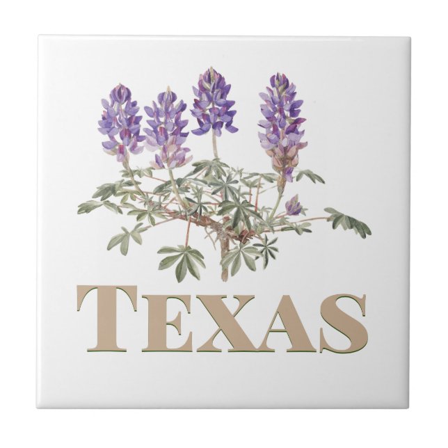 Texas Bluebonnet 2  Tile (Front)