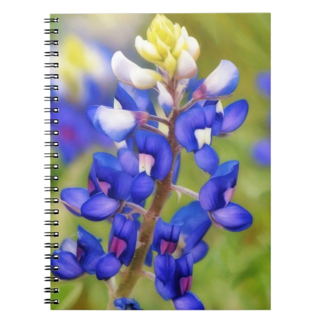 Texas Bluebonnet Flower Close Up Journal (Front)