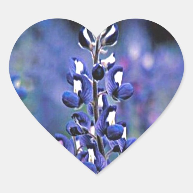 Texas Bluebonnet Heart Sticker (Front)