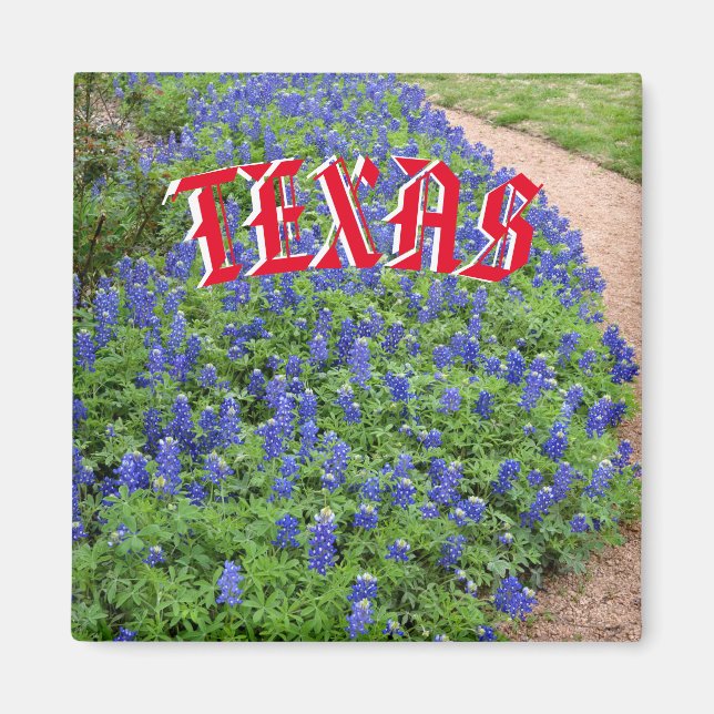 Texas bluebonnet magnet (Front)