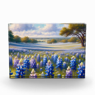 Texas Bluebonnet Meadow Landscape Photo Block