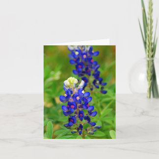 Texas Bluebonnet Note Card