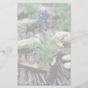 Texas Bluebonnet Stationery