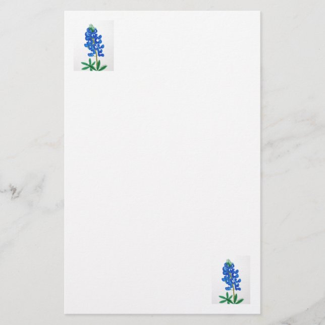 Texas Bluebonnet Stationery (Front)