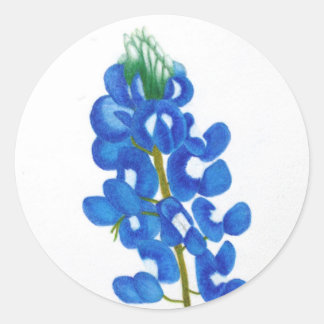 Texas Bluebonnet Sticker