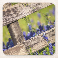 Texas Bluebonnets Around A Country Fence