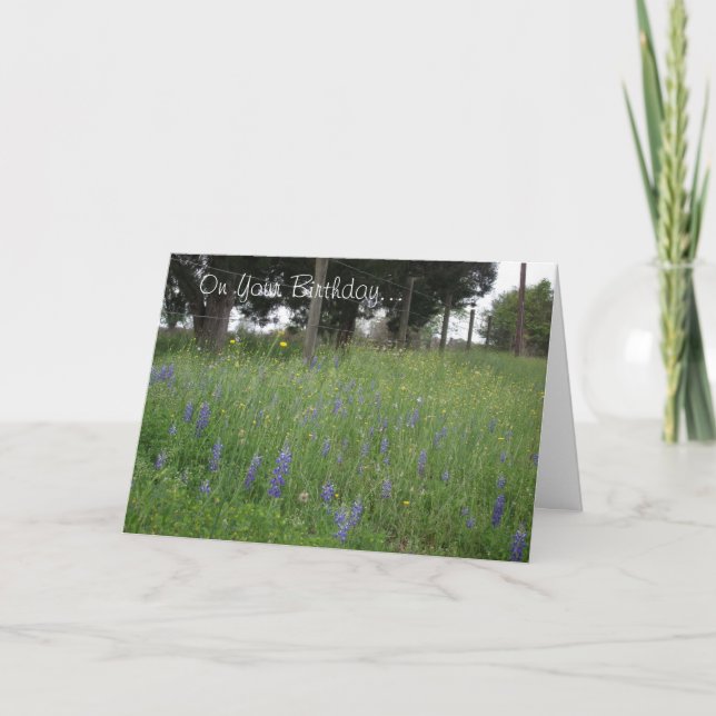 Texas Bluebonnets Birthday Card (Front)