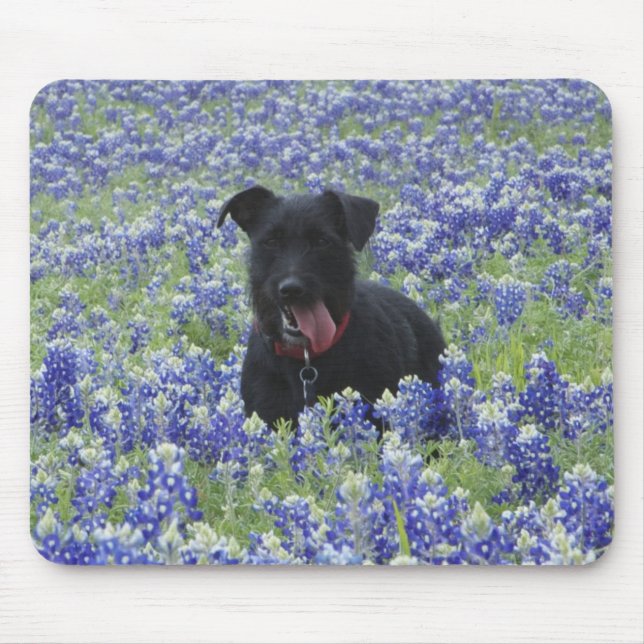 Texas Bluebonnets Field Cute Puppy Dog Photo Mouse Mat (Front)
