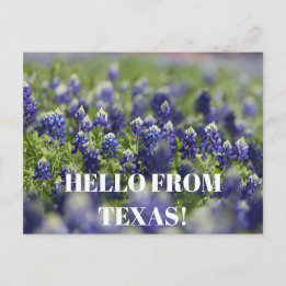 Texas Bluebonnets Flower Wildflower Blue Floral Postcard