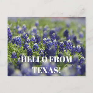 Texas Bluebonnets Flower Wildflower Blue Floral Postcard