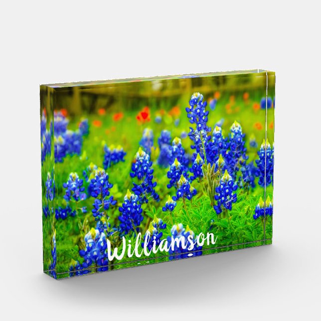 Texas Bluebonnets Indian Paintbrush Family Name Photo Block (Left)