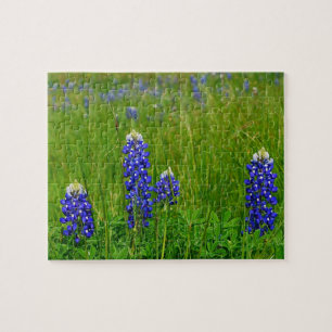 Texas Bluebonnets Jigsaw Puzzle