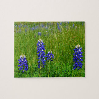 Texas Bluebonnets Jigsaw Puzzle