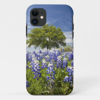 Texas bluebonnets(lupinus texensis) and oak