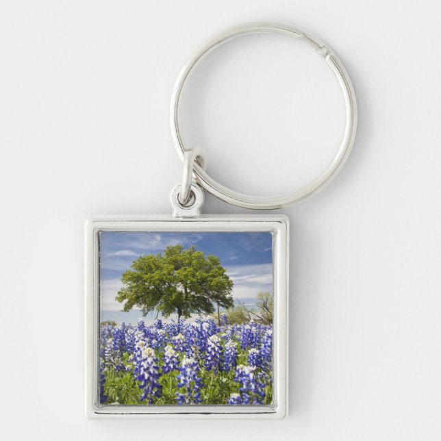 Texas bluebonnets(lupinus texensis) and oak key ring (Front)