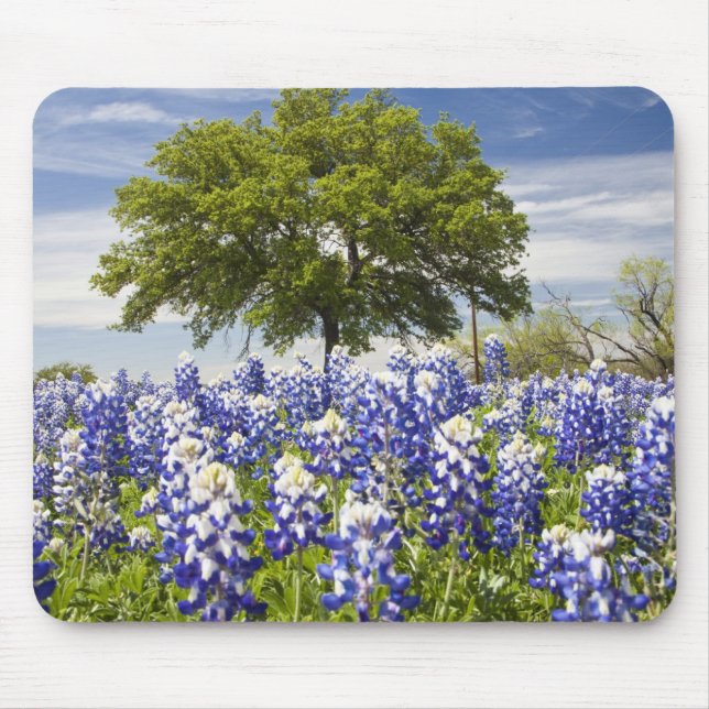 Texas bluebonnets(lupinus texensis) and oak mouse mat (Front)