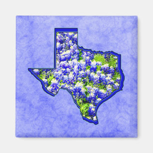 TEXAS BLUEBONNETS MAGNET