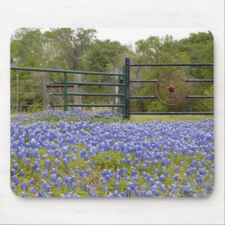 Texas Bluebonnets Mouse Mat