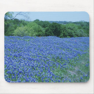 Texas Bluebonnets Mouse Mat
