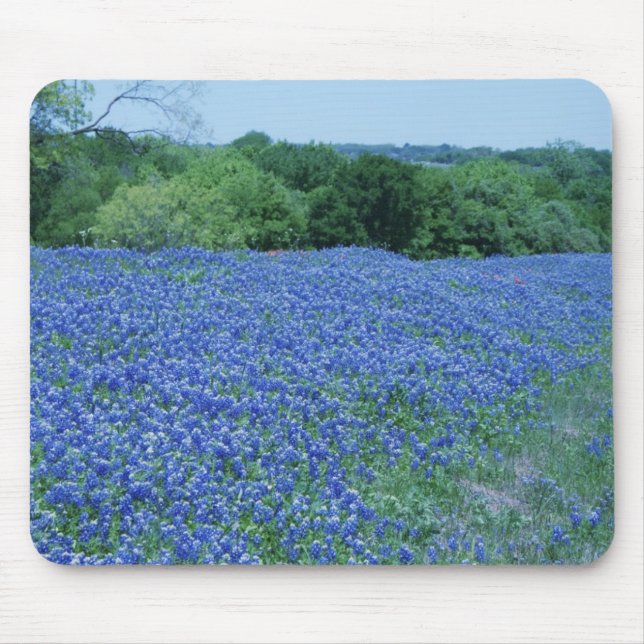 Texas Bluebonnets Mouse Mat (Front)