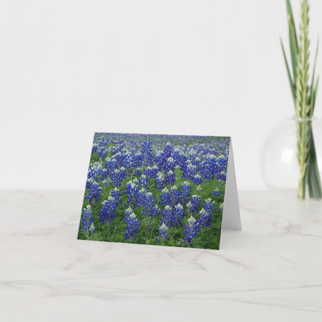 Texas Bluebonnets Photo Blank Card (Front)