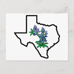 Texas Bluebonnets Postcard