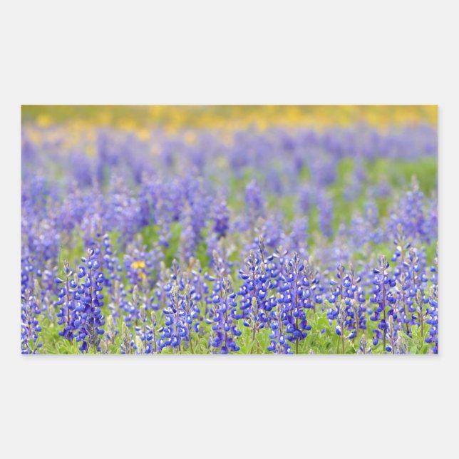 Texas Bluebonnets Rectangular Sticker (Front)