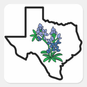Texas Bluebonnets Square Sticker