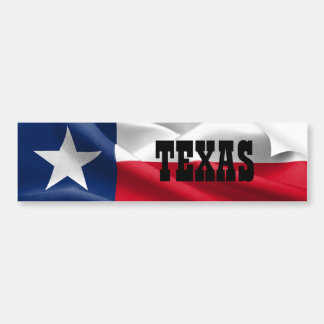 Texas Bumper Sticker