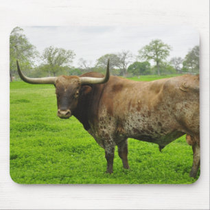 Texas Burnt Orange Longhorn Steer Mouse Mat