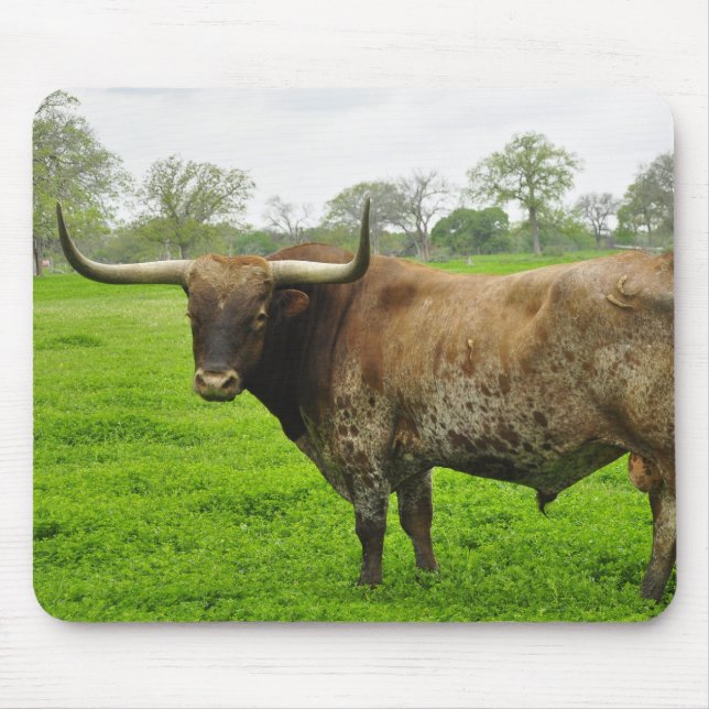 Texas Burnt Orange Longhorn Steer Mouse Mat (Front)
