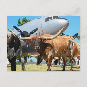 Texas C-47 Skytrain Postcard