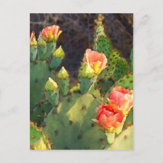 Texas Cactus 2 Postcard