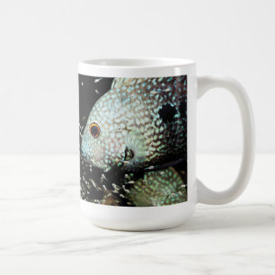 Texas cichlid coffee mug