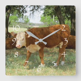 Texas Cow Landscape Square Wall Clock