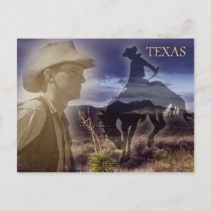Texas Cowboy Postcard
