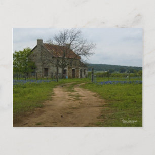 Texas farm house with bluebonnets postcard