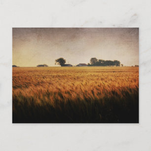 Texas Farm postcard