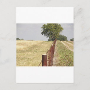 Texas Fence Line Postcard